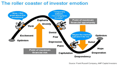 Investor Emotion RollerCoaster