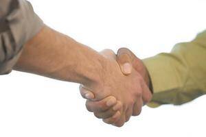 handshake between an adviser and a businessperson