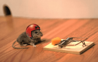 helmeted mouse poised for an opportunity to strike at cheese set in a mousetrap